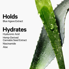 Hydro Grip Set + Refresh Spray - Hydrating Setting Spray